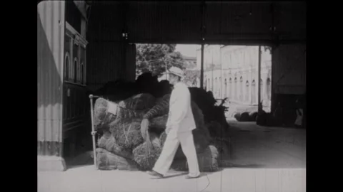 Brazil 1940s: Men put large balls of rubber into bin. Bales of tied up jungle Video stock 329647501