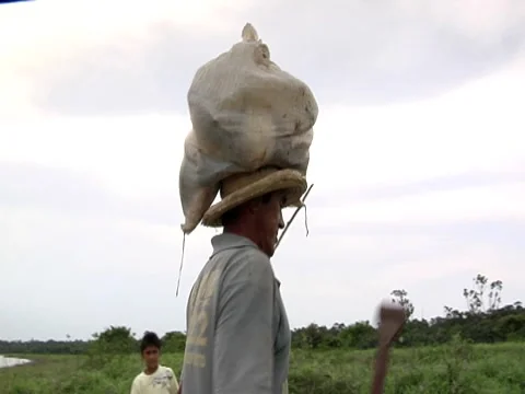 Brazil 3 Stock Footage 8691289