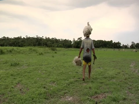 Brazil 4 Stock Footage 8691292