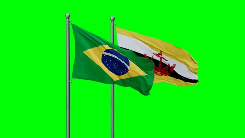 Brazil and Brunei waving flags Stock Footage 289635527
