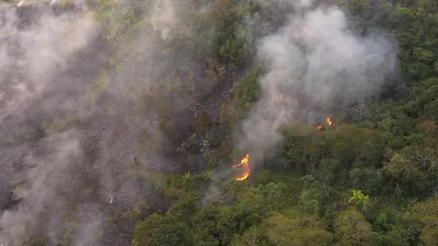 Brazil Burning Forest Fires Smoke Deforestation Aerial Pan Low 2020 Stock-Footage 139405376