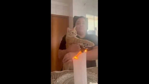 Brazil: Cat watches ashes float after paper burns in Sarandi, Brazil Stock Footage 344092409