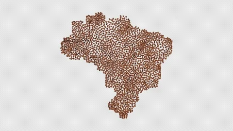 Brazil Coffee Beans Stock Footage 152658073