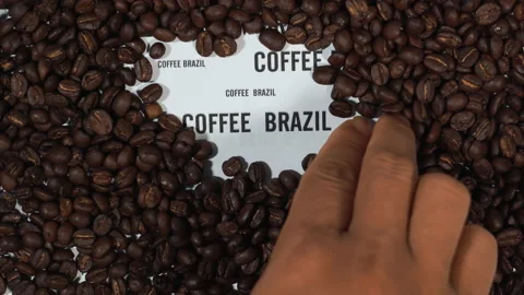 Brazil Coffee Stock Footage 155732103