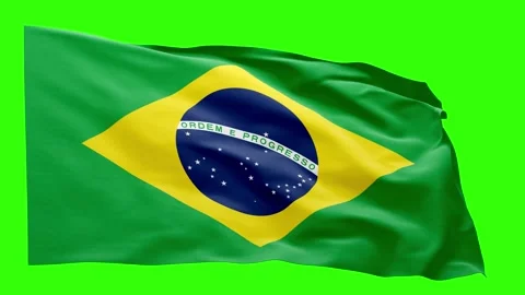 Brazil Flag Animation – Seamless Loop (4K UHD) Stock Footage 318006024