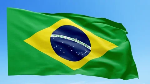Brazil Flag Animation – Seamless Loop (4K UHD) Stock Footage 318006025