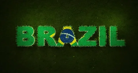 Brazil Flag is Appearing Over Growing Grasses Stock Footage 101744699