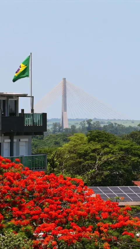 Brazil flag flying over a building with Integration Bridge (Ponte da Integração Stock Footage 329143486