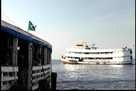 Brazil flag Stock Footage 67134