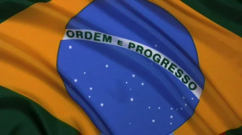 Brazil Flag 動画素材 361232