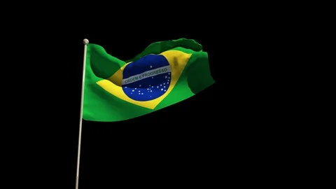 Brazil Flag Stock Footage 88435556