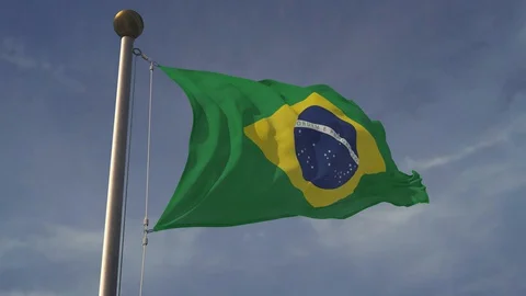 Brazil flag 库存影片 128549595