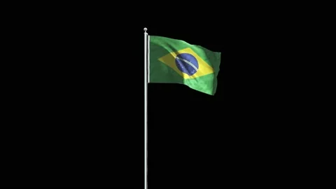Brazil Flag Stock Footage 160125501