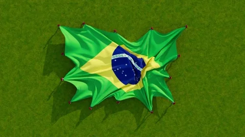 Brazil flag Stock Footage 202640006