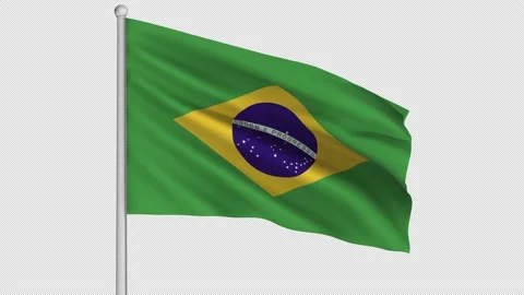 Brazil Flag Video stock 206776864