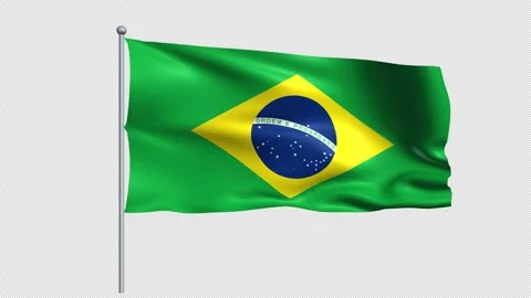 Brazil Flag - Pack 1 Stock Footage 340236359