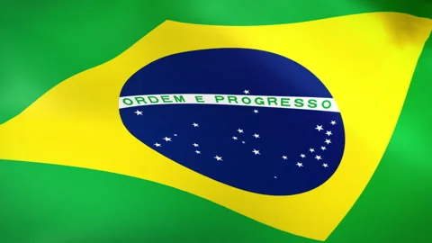 Brazil Flag - Pack 2 Stock Footage 340236285