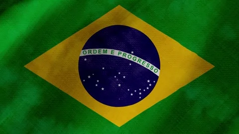 Brazil flag waving background with real fabric texture 動画素材 291600534