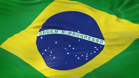Brazil flag waving in the wind with highly detailed fabric texture 動画素材 120655527
