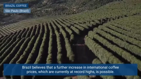 Brazil foresees potential for further increases in world coffee price, today at  Stock Footage 301145732