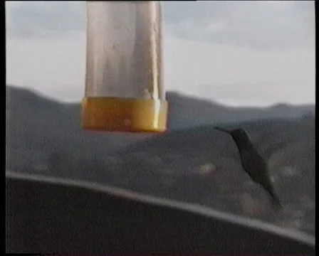 Brazil Hummingbird 1 Video stock 39878341