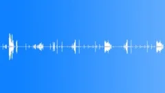 BRAZIL, JUNGLE Sound Effect