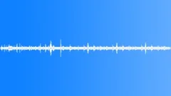 BRAZIL, JUNGLE Sound Effect