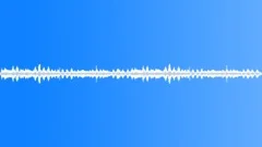 BRAZIL, JUNGLE Sound Effect