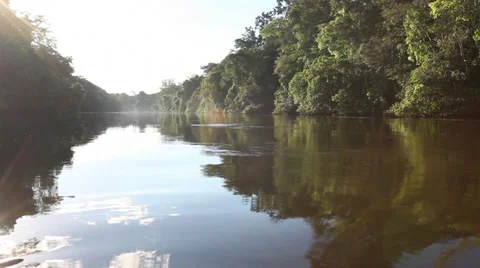 Brazil Life Stock Footage 30595173