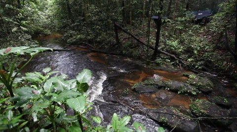 Brazil Life Stock Footage 30597490