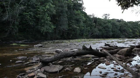 Brazil Life Stock Footage 30600701