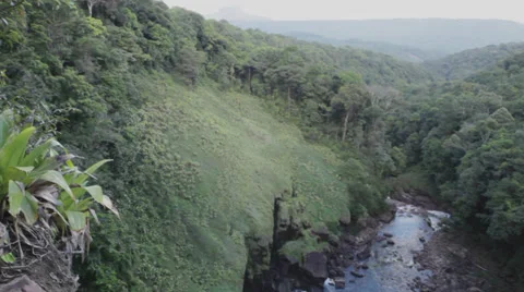 Brazil Life Stock Footage 30601924