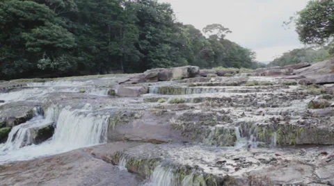 Brazil Life Stock Footage 30601932