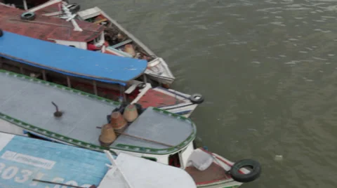 Brazil Life Stock Footage 30782875