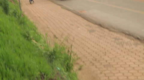 Brazil Life Stock Footage 30785472