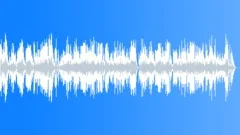 Brazil National Anthem HarpStock Music