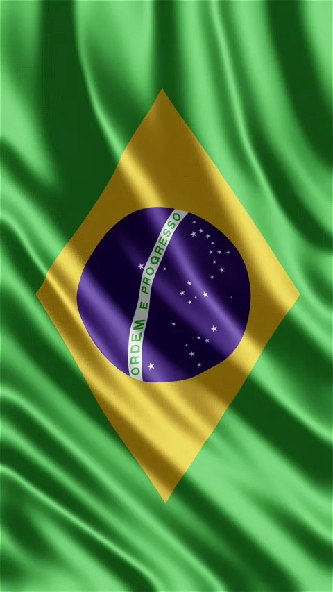 Brazil National Flag Waving in Wind Realistic Animation Stock Footage 330563053