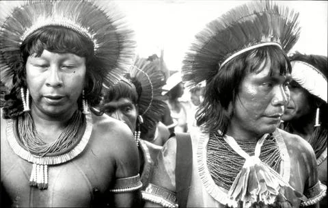 Brazil Natives 'amazon Indians' Brazilian Native Indian From The Rainforest Disc Stock Photos
