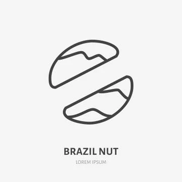 Brazil nut flat line icon. Vector thin sign, healthy food outline illustration Stock Illustration