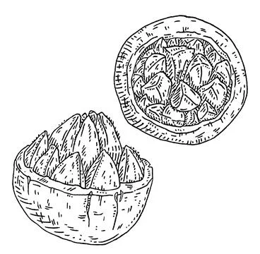 Brazil nut half shelled. Vector engraving black vintage illustration. Stock Illustration