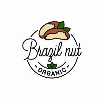 Brazil nut logo. Round linear of peeled brazil nut Stock Illustration