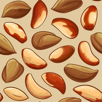 Brazil nut pattern Stock Illustration