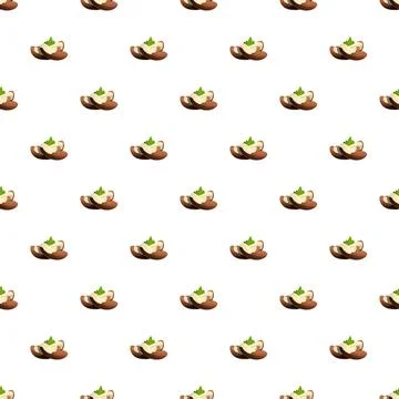 Brazil nut pattern seamless vector Illustrazione stock