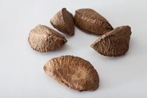 Brazil nut Stock Photos