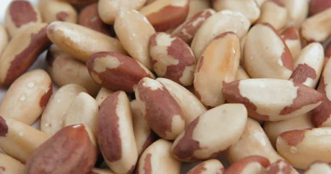 The brazil nut rotates on the turntable Stock Footage 97889381