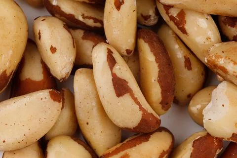 Brazil nut is a source of selenium and for a healthy diet Stock Photos
