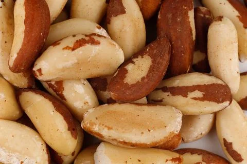 Brazil nut is a source of selenium and for a healthy diet Stock Photos