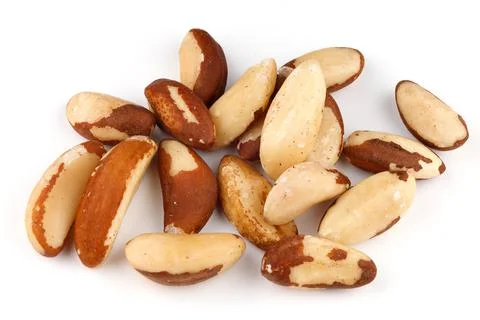 Brazil nut is a source of selenium and for a healthy diet Stock Photos
