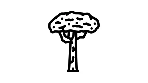 Brazil nut tree line icon animation Stock Footage 326760039