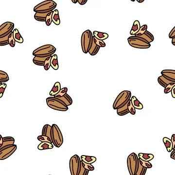 Brazil nut vector seamless pattern Illustrazione stock
